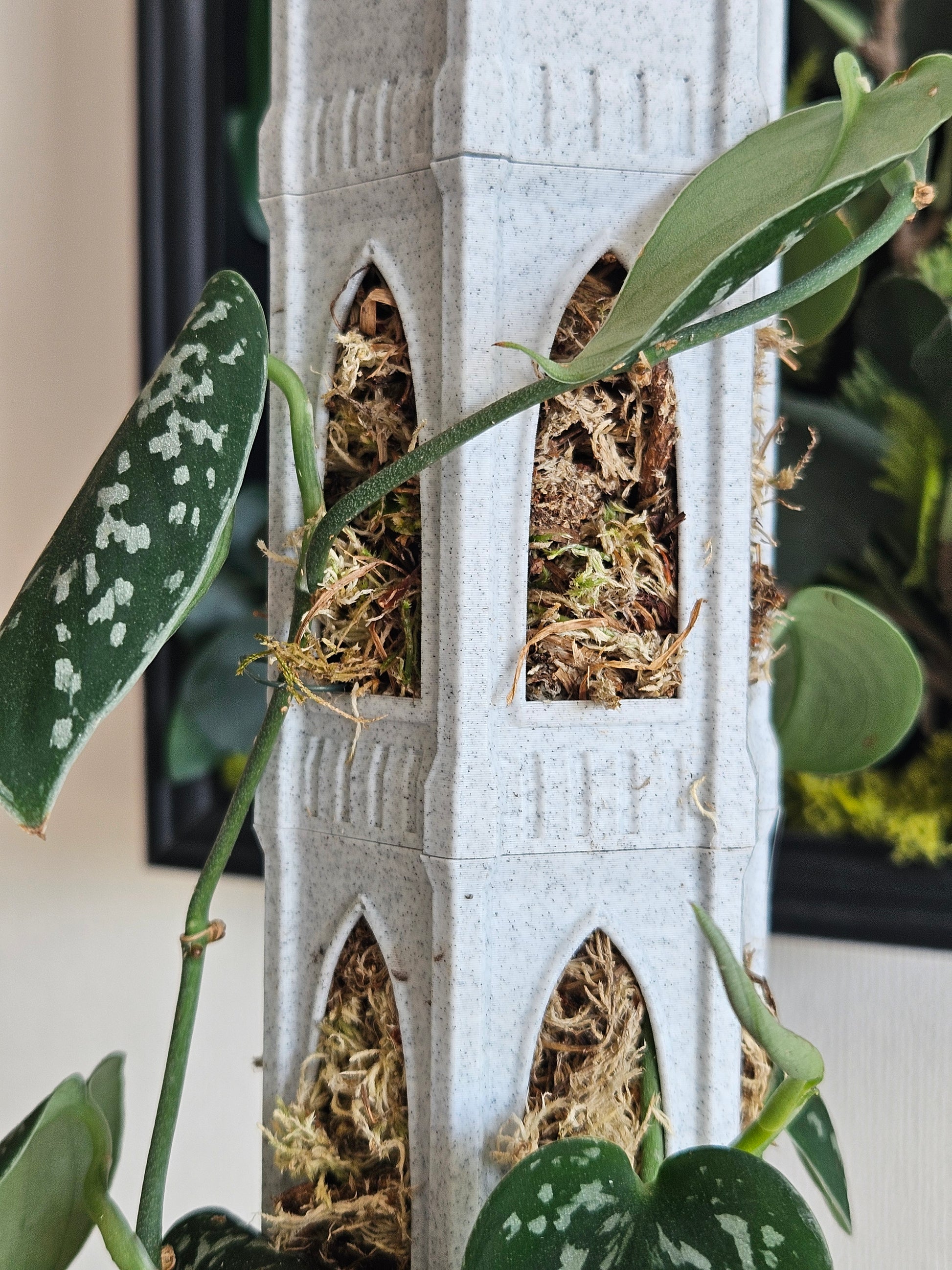 gothic tower moss pole Cathedral Moss Pole – La Plante Verte