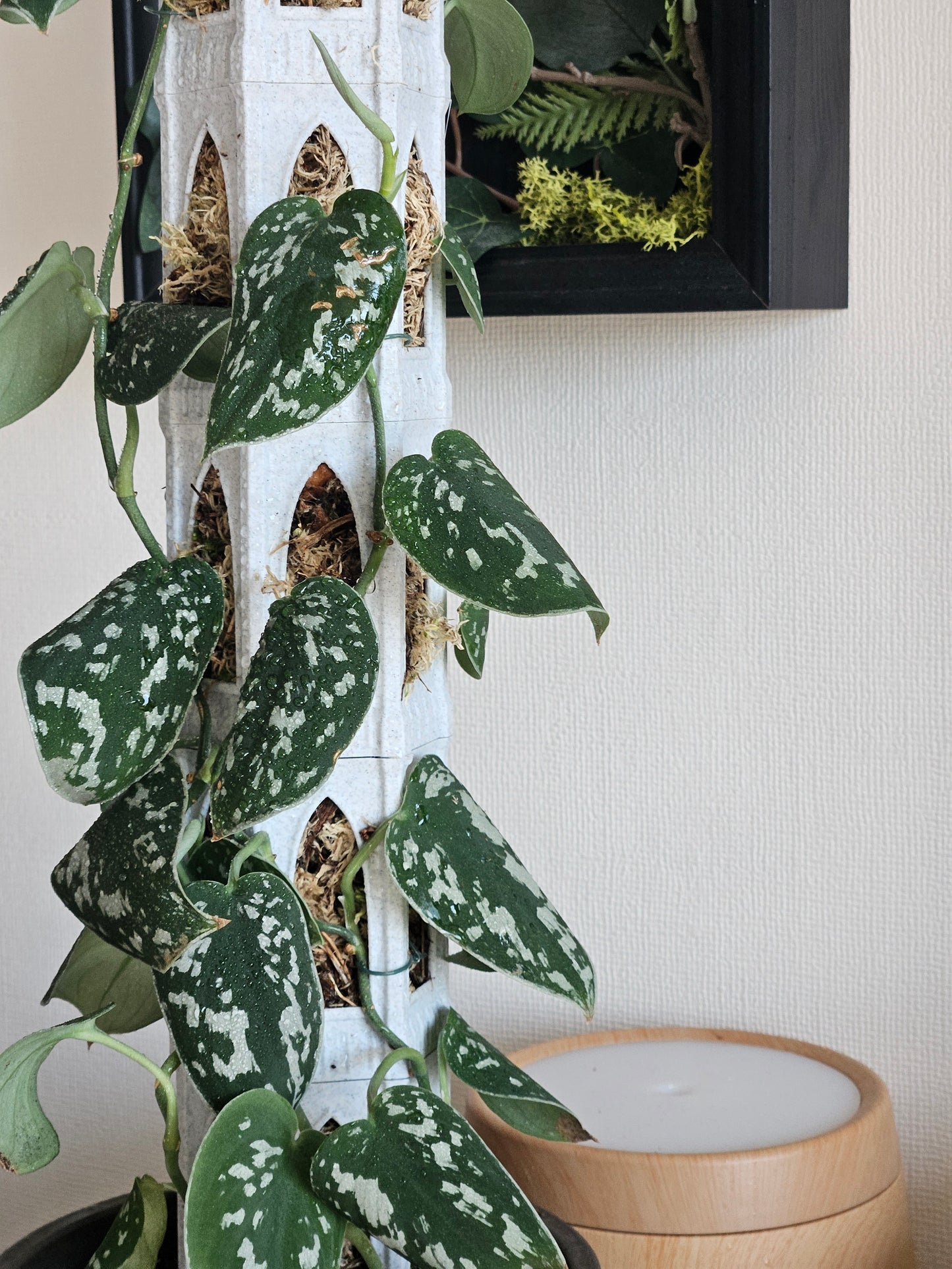 Cathedral Starter Set